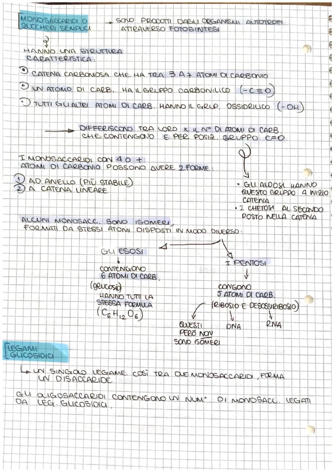 # S

[ve

# Le BIOMOLECOLE

↓

NEGLI UMANI A

*   PROTEINE
*   CARBOIDRATI
*   LIPIDI
*   ACIDI NUCLEIA

SONO 4 TIPI DI

MOLECOLE

SOND

COM