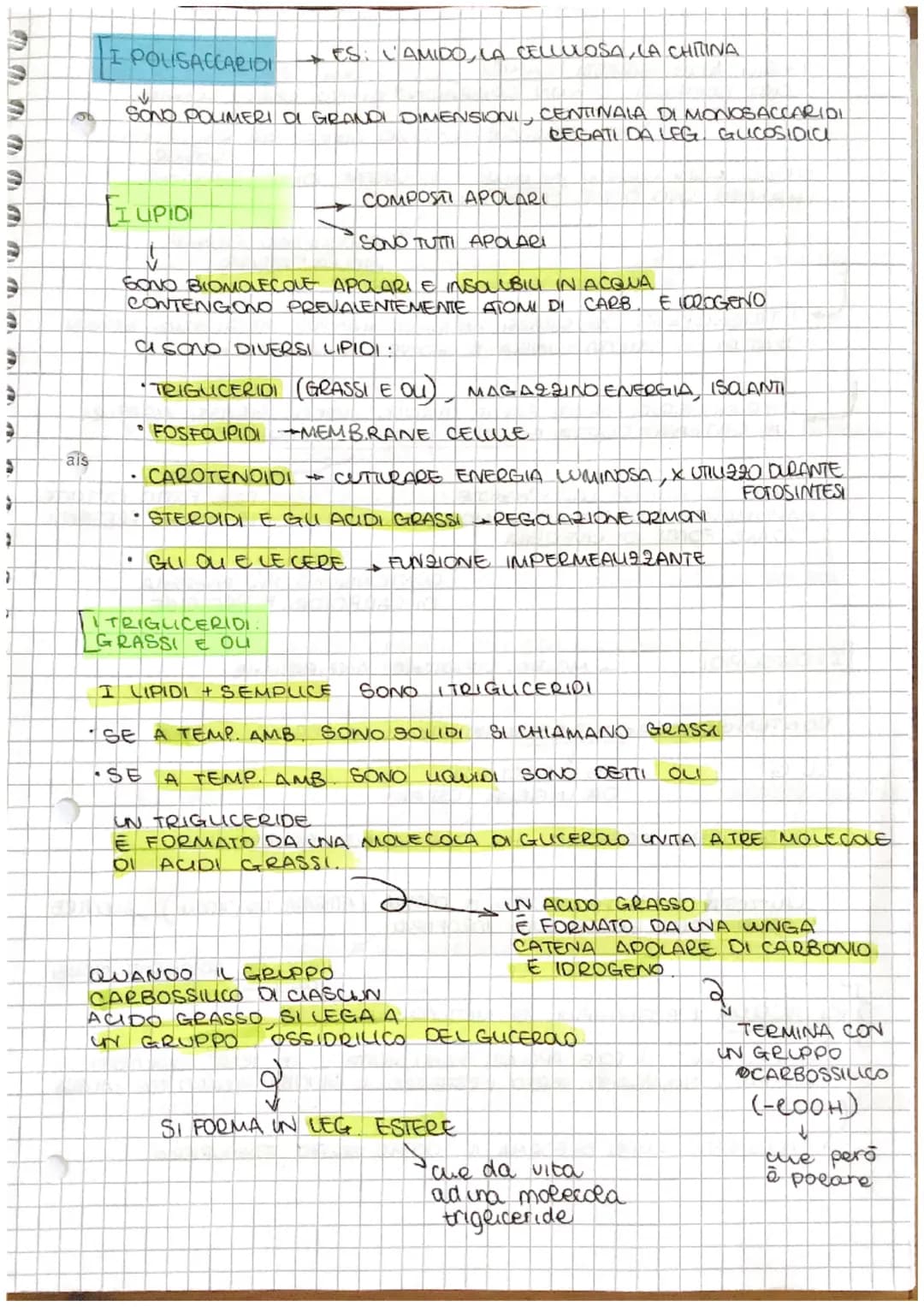 # S

[ve

# Le BIOMOLECOLE

↓

NEGLI UMANI A

*   PROTEINE
*   CARBOIDRATI
*   LIPIDI
*   ACIDI NUCLEIA

SONO 4 TIPI DI

MOLECOLE

SOND

COM