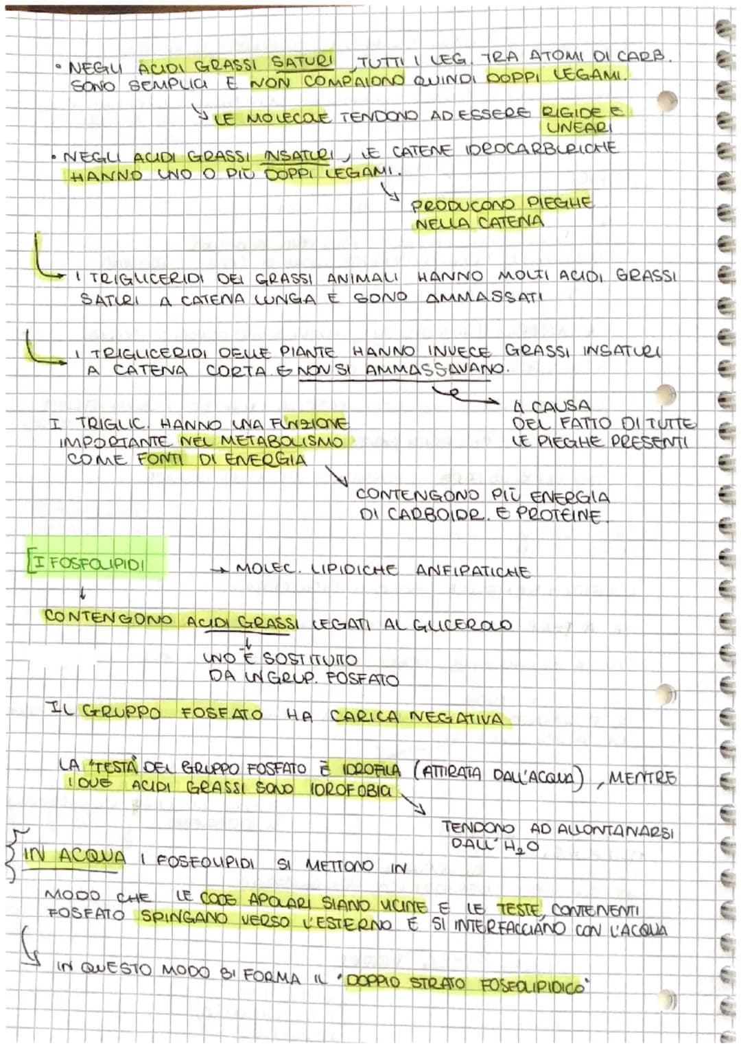 # S

[ve

# Le BIOMOLECOLE

↓

NEGLI UMANI A

*   PROTEINE
*   CARBOIDRATI
*   LIPIDI
*   ACIDI NUCLEIA

SONO 4 TIPI DI

MOLECOLE

SOND

COM