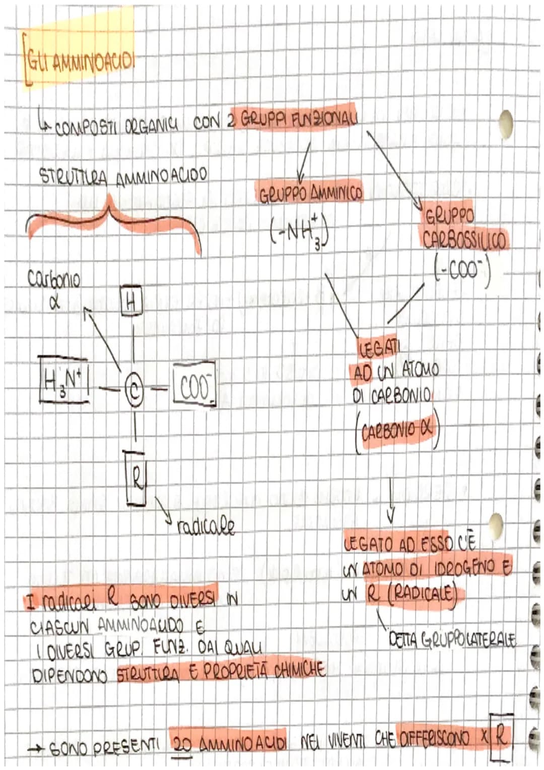 # S

[ve

# Le BIOMOLECOLE

↓

NEGLI UMANI A

*   PROTEINE
*   CARBOIDRATI
*   LIPIDI
*   ACIDI NUCLEIA

SONO 4 TIPI DI

MOLECOLE

SOND

COM
