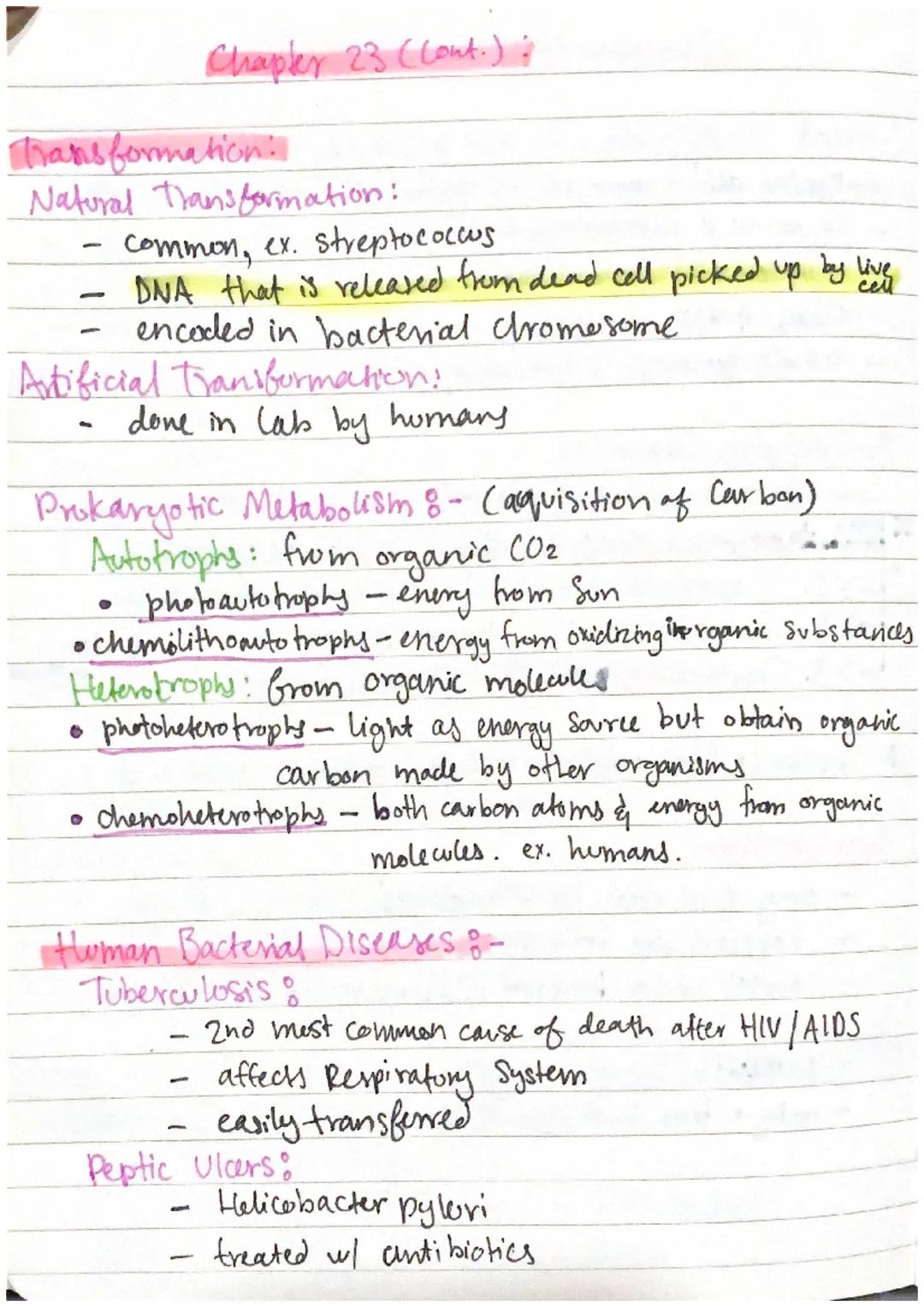 Chapter 23: Prokaryotes

Prokaryotes:
- Smallest & simplest & most abundant forms of life
- oniginated 3.5 bil. years ago.
- Fall into two d