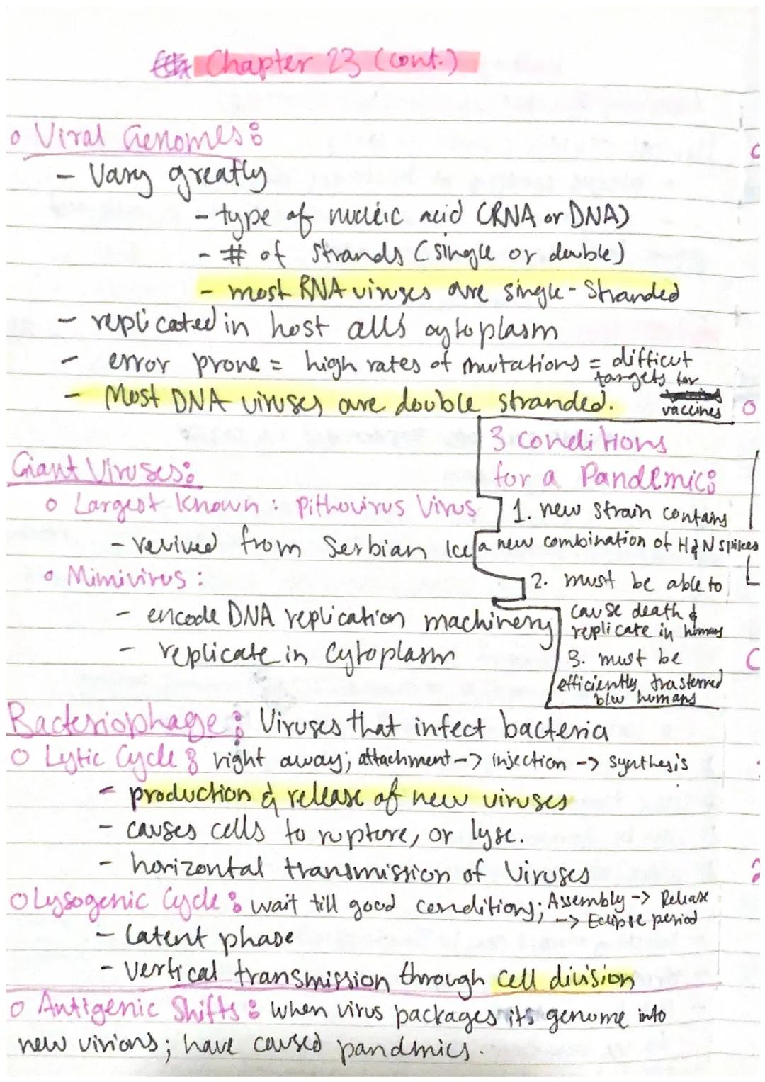 Chapter 23: Prokaryotes

Prokaryotes:
- Smallest & simplest & most abundant forms of life
- oniginated 3.5 bil. years ago.
- Fall into two d