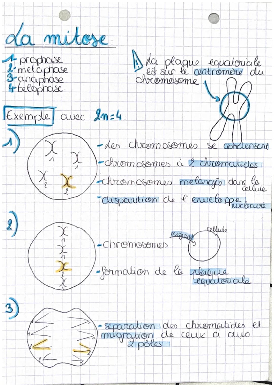 chap 1 transmission,
A
variation et expression du patrimoine
W
Definitions
genetique

• cellule oeuf Mere ceflule de l'individu,
 issu de la
