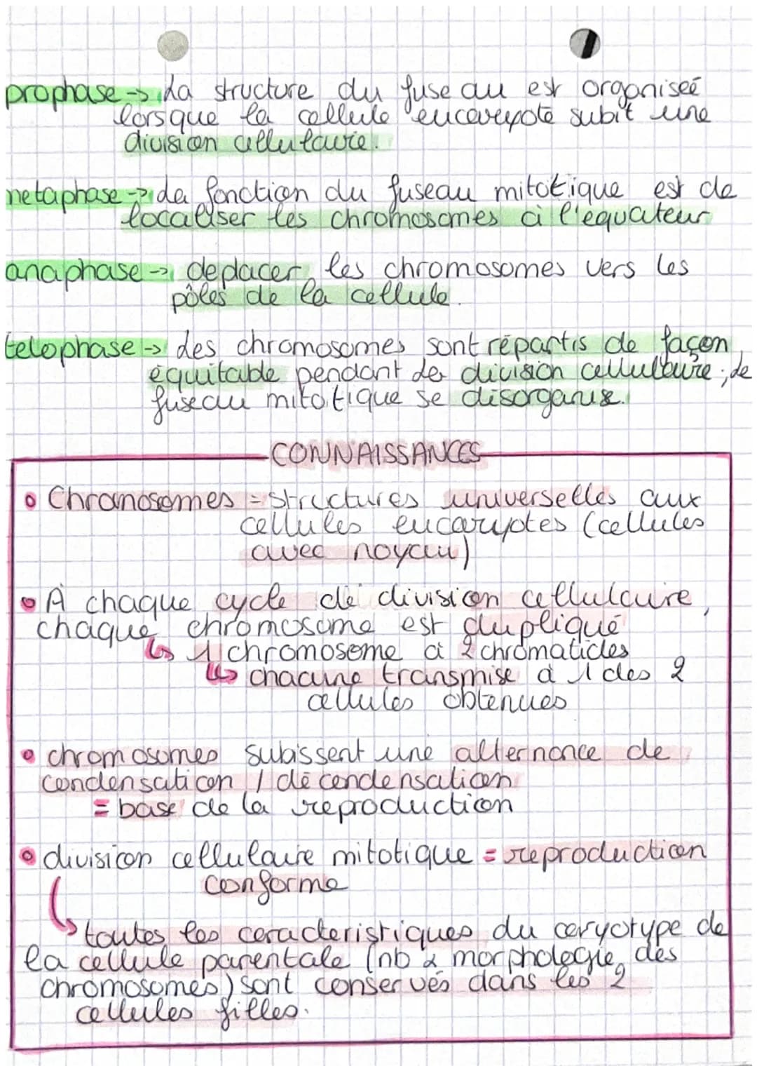 chap 1 transmission,
A
variation et expression du patrimoine
W
Definitions
genetique

• cellule oeuf Mere ceflule de l'individu,
 issu de la