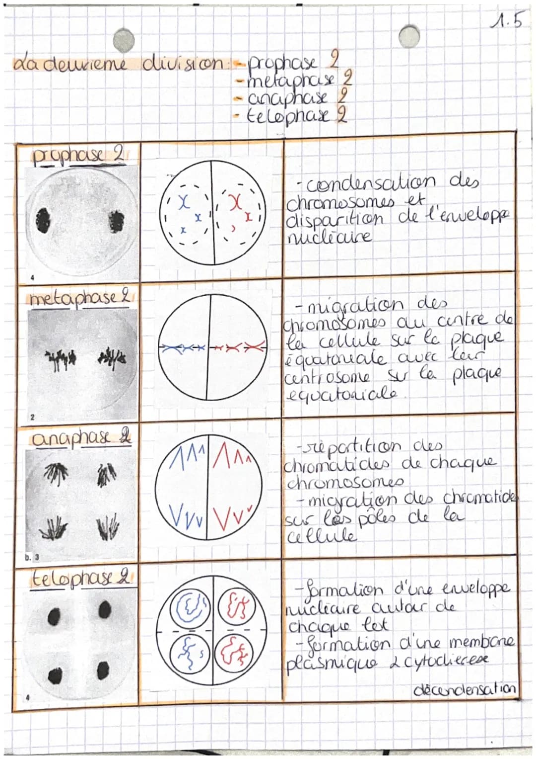 chap 1 transmission,
A
variation et expression du patrimoine
W
Definitions
genetique

• cellule oeuf Mere ceflule de l'individu,
 issu de la