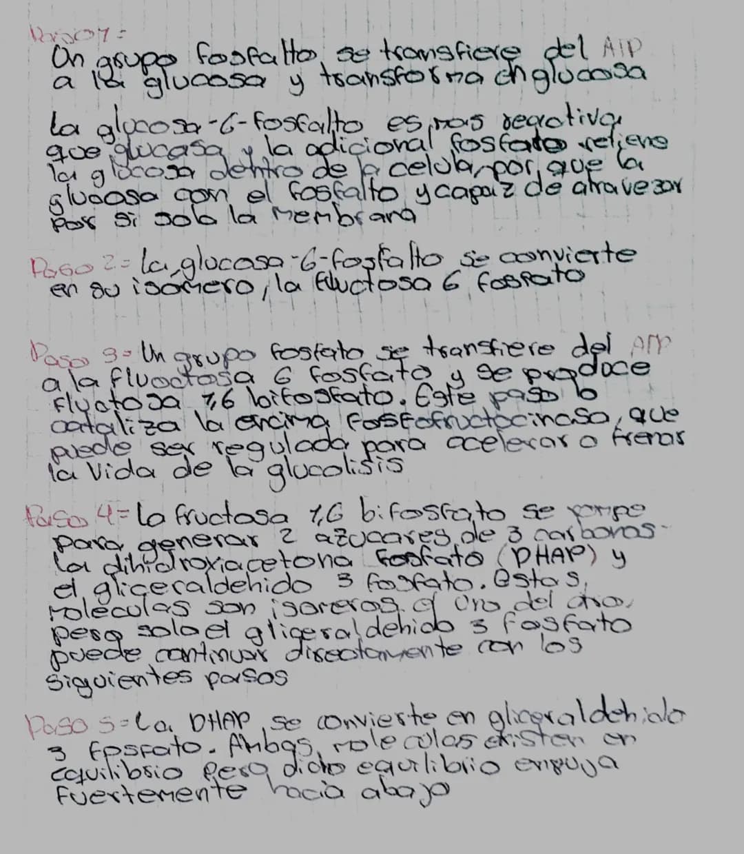 On grupo fosfatto se transfieren
a del AIP
la glucosa y transforma ch glucosa

La glucosa-6-Fosfalto, es nas reactiva
que glucasa y la adici