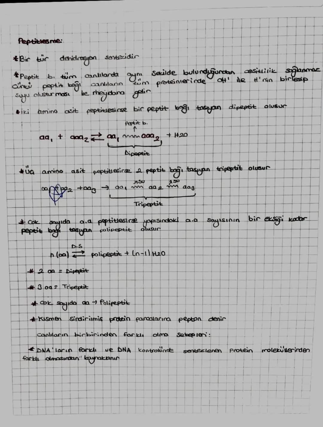# Canlıların Yapısında Bulunan Temel Bilesikier:

Canlılar elementlerden dusur tek hücrelilerden cok hücreliler
kadar her canlının toplam kü