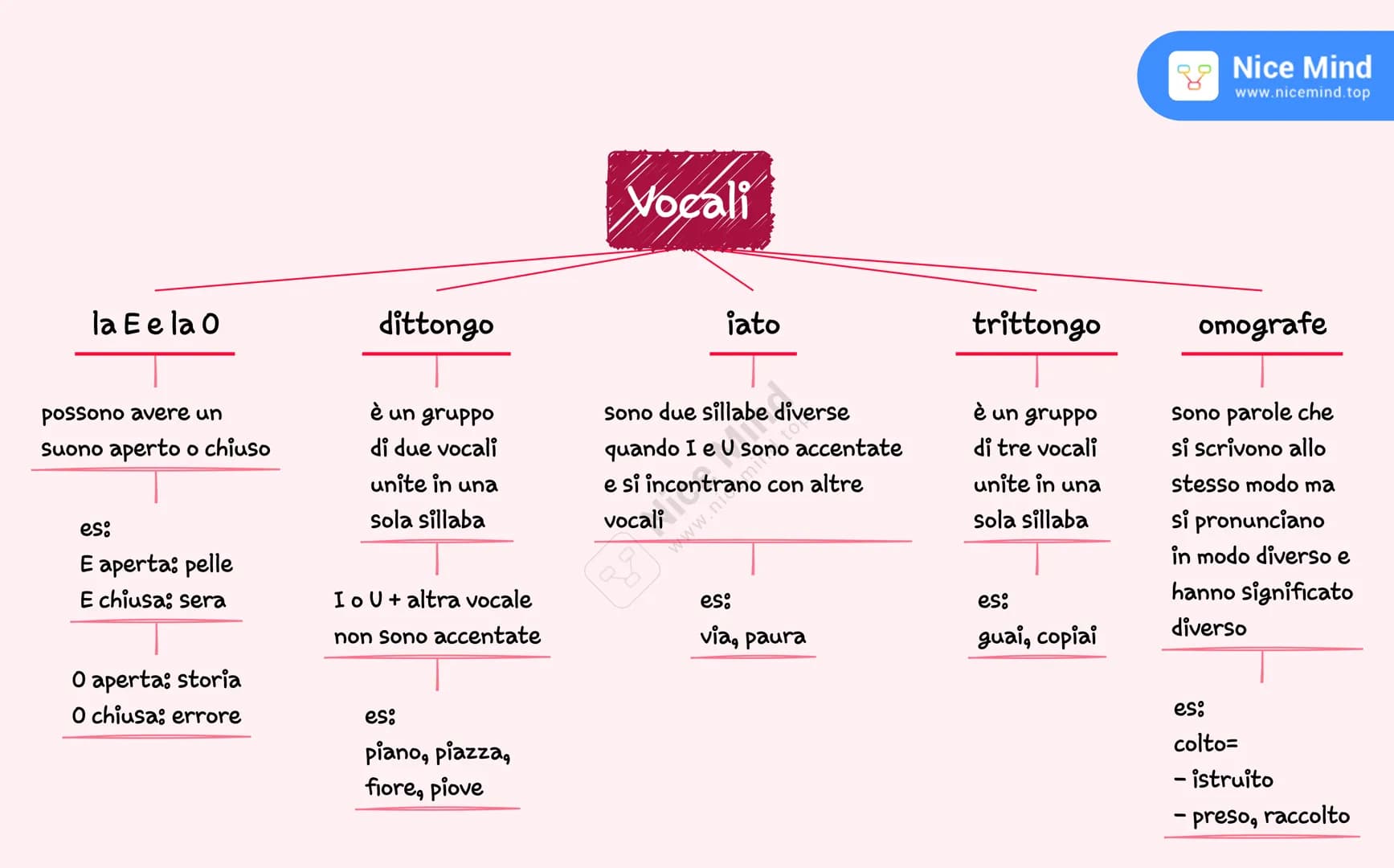 Nice Mind
www.nicemind.top

# Vocali

la E e la O

possono avere un
suono aperto o chiuso

es:
E aperta: pelle
E chiusa: sera

O aperta: sto