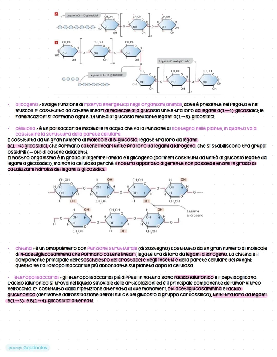 # Carboidrati

I carboidrati o glicidi sono biomolecole monometriche o polimeriche formate da due o più gruppi ossidrile (-он)
e da un grupp