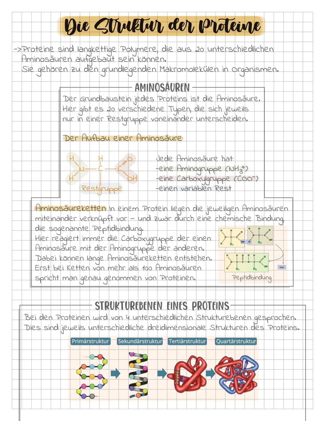 # Die Struktur der Proteine

->Proteine sind langkettige Polymere, die aus 20 unterschiedlichen
Aminosäuren aufgebaut sein können.
Sie gehör