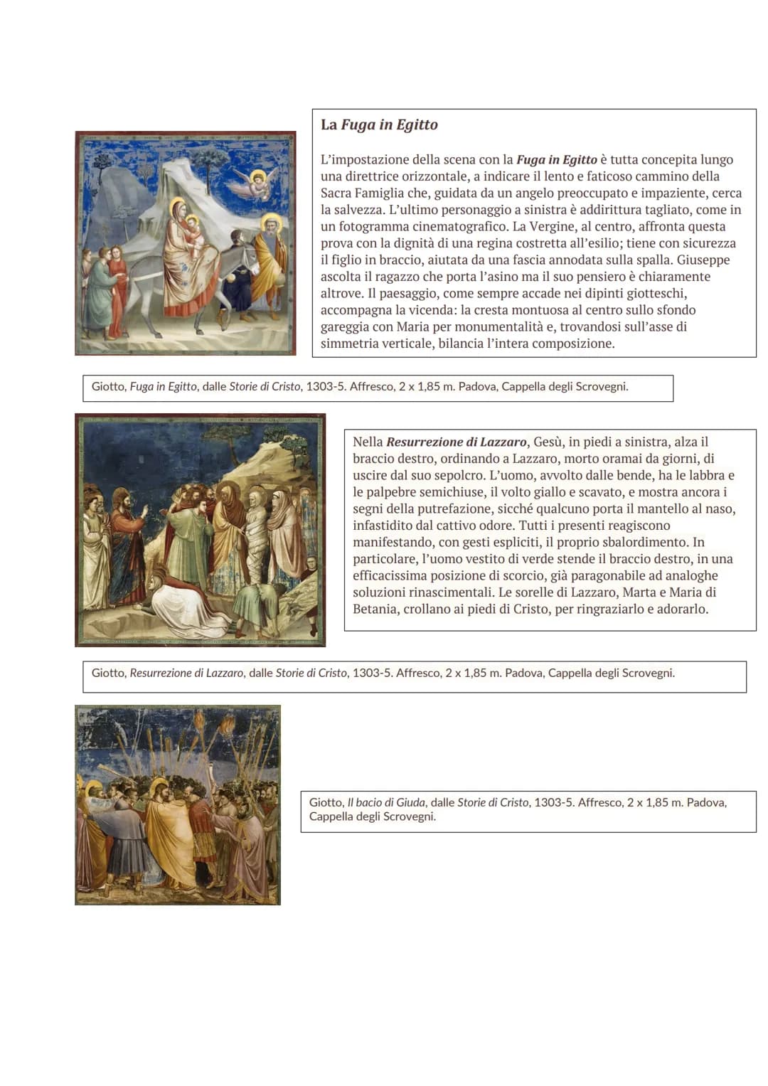 Giotto (1267-1336) è universalmente considerato come il più importante pittore della grandiosa stagione
gotica, del Medioevo tutto e come un