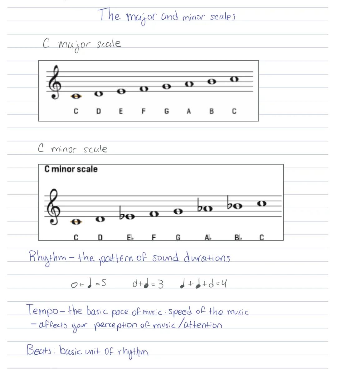 The major and minor scales

C major scale


C
D
E
F
G
A
B
C

C minor scule
C minor scale



C
D
Eb
F
G
Ab
Bl
C

Rhythm - the pattern of soun