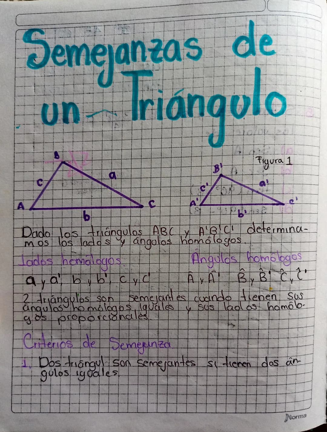 # Semejanzas de
un Triangulo

C
A
b
C
Figura 1
BA

Dado los triângulos ABC y A'B'C' determina-
mos los lados y ángulos homologos

Jados homo