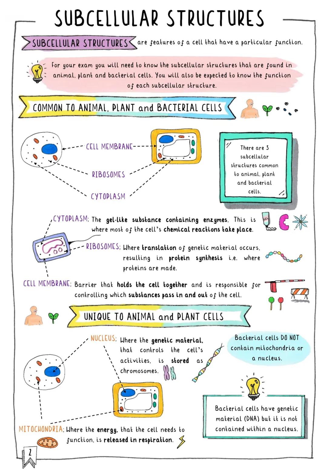 # CONTENTS & TRACKER

Each time you revise a section, put your mark on a circle!

1 Cells
000

2 Subcellular Structures
000

4 Typical vs. S
