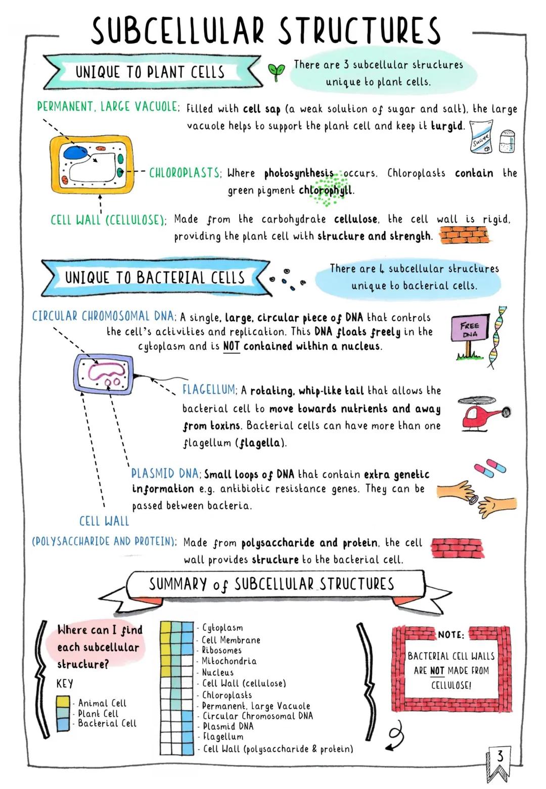 # CONTENTS & TRACKER

Each time you revise a section, put your mark on a circle!

1 Cells
000

2 Subcellular Structures
000

4 Typical vs. S