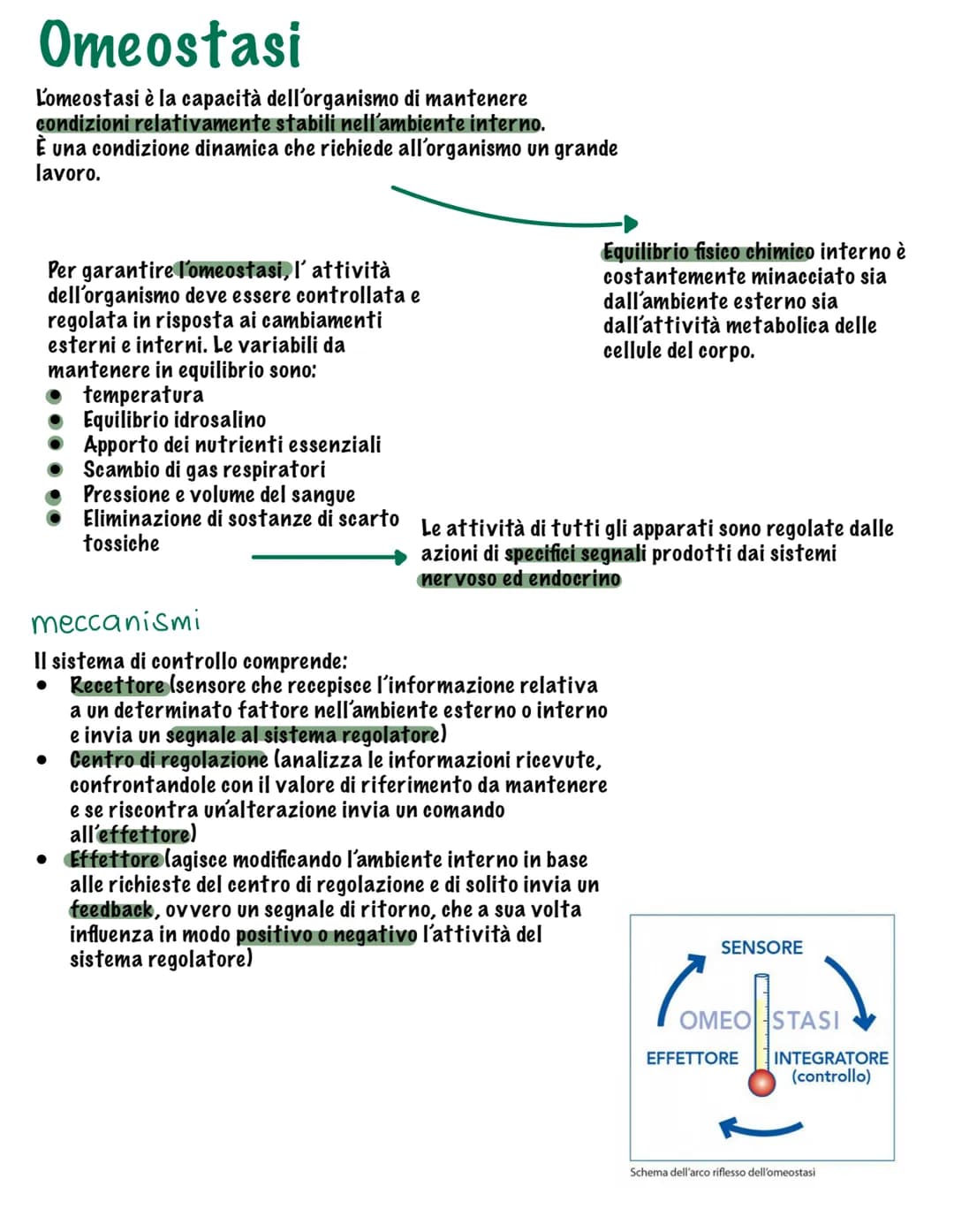 # I tessuti

Parte tutto dallo zigote, una
cellula diploide (mitosi, 23
coppie di cromosomi, stesso
materiale genetico)

Vi sono quattro tip