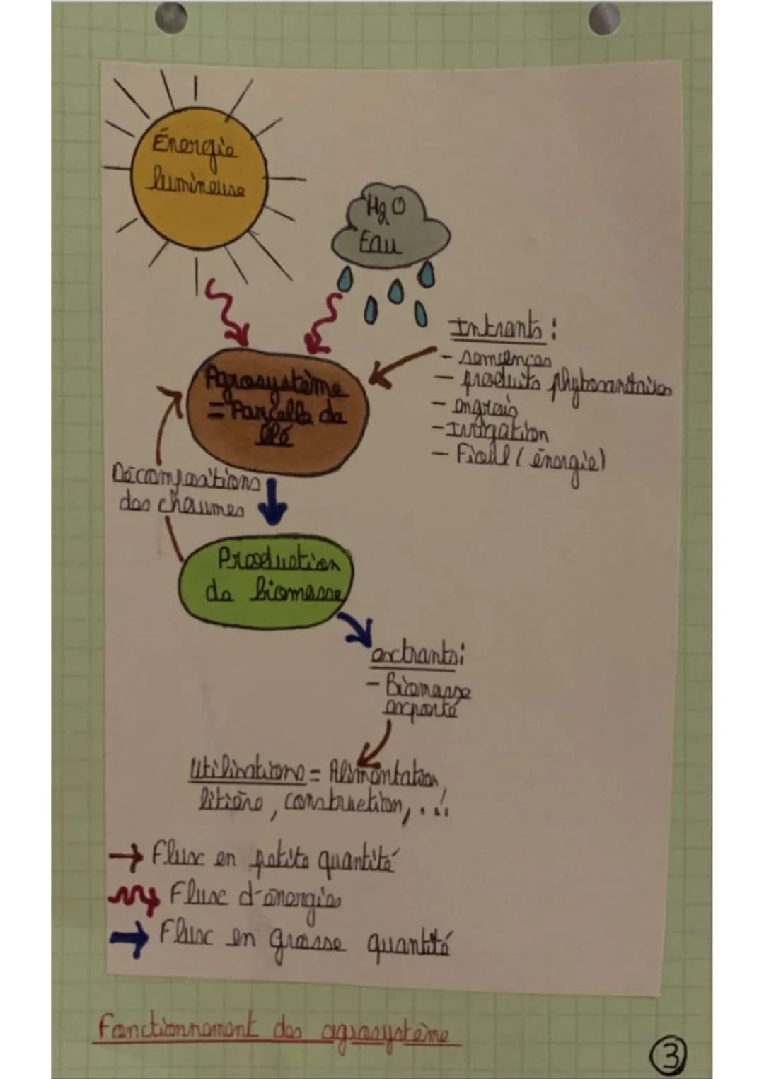 Agrononie

Chapitre 11 des fonctions des agroécosystèmes

1/ Noticon of agroécosystème

iin écosystème est constitué par dense éléments
réag