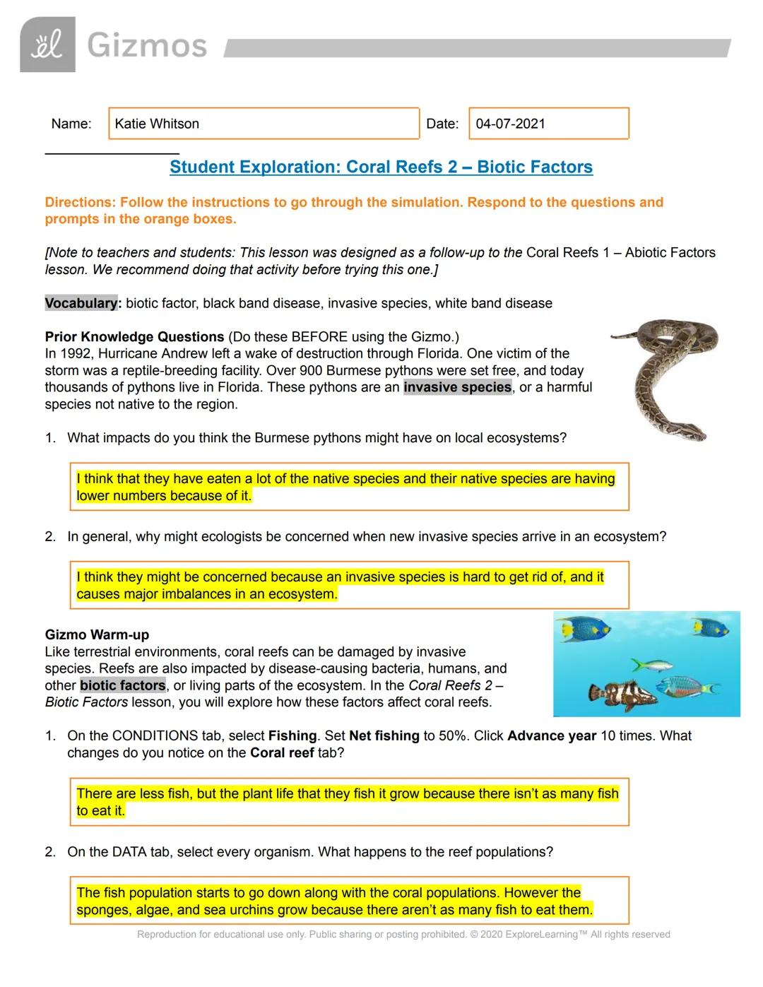 # Gizmos

Name: Katie Whitson

Date: 04-07-2021

# Student Exploration: Coral Reefs 2 - Biotic Factors

Directions: Follow the instructions 