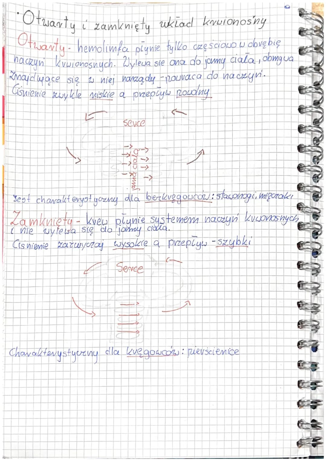 # 6.1 Układ krążenica u zwierząt

-Skiada się ukiad kuuionośny i limpatycrny.

•Płyny ustrojowe

Knez - Krążący w zamkniętym układzic kuwion