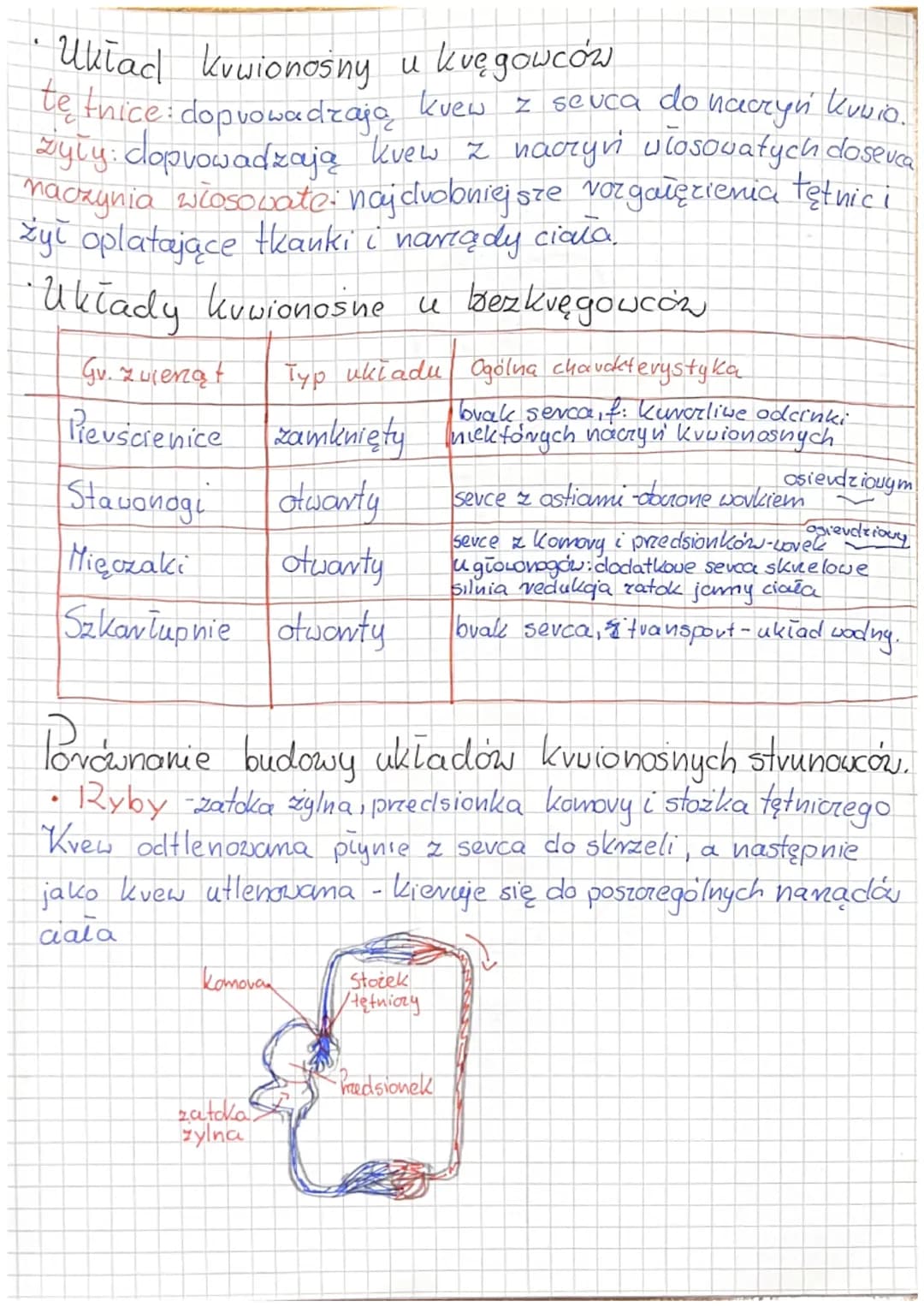 # 6.1 Układ krążenica u zwierząt

-Skiada się ukiad kuuionośny i limpatycrny.

•Płyny ustrojowe

Knez - Krążący w zamkniętym układzic kuwion