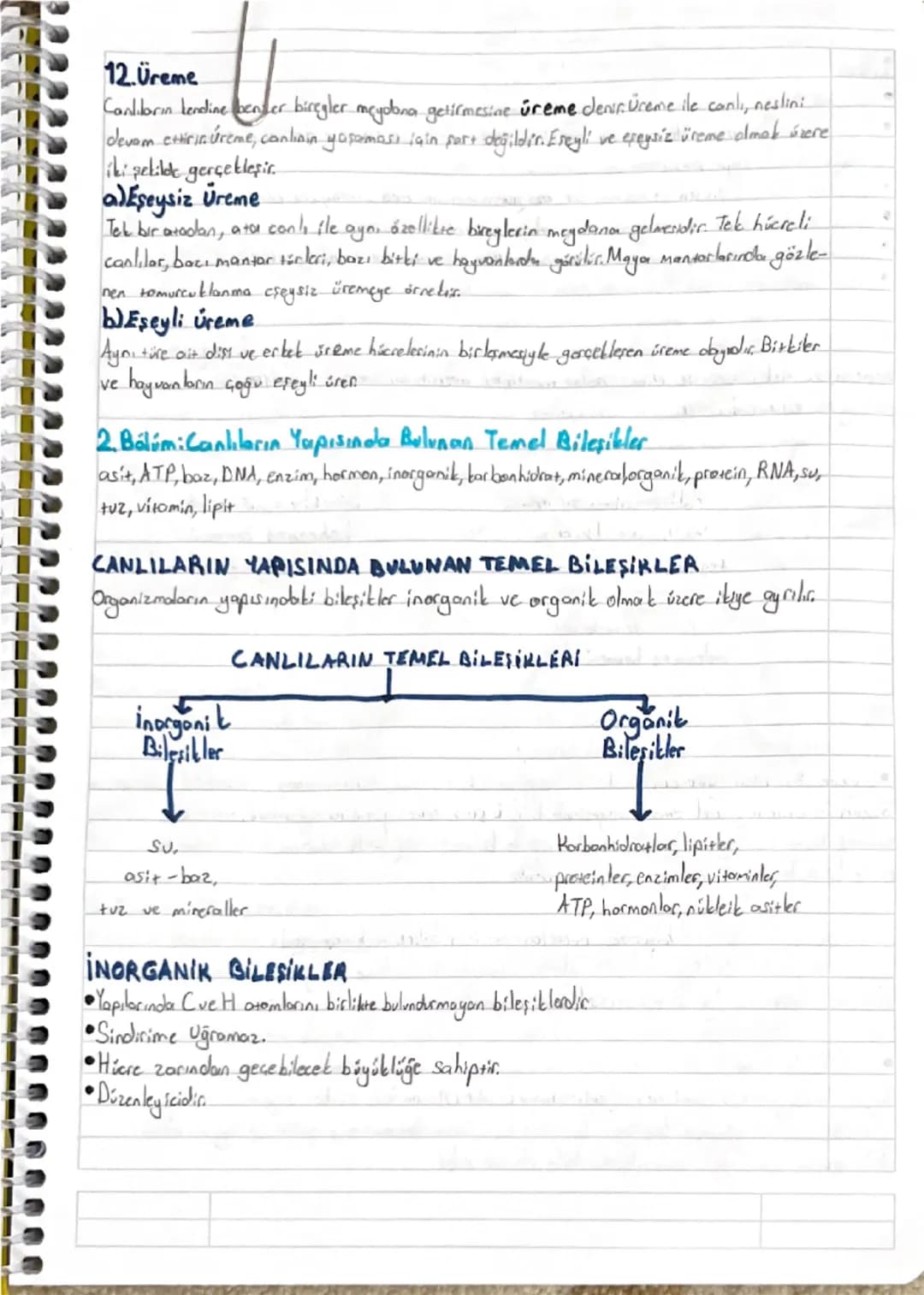 1. ÜNİTE: YAŞAM BİLİMİ BİYOLOJİ
1. BÖLÜM: Biyoloji ve Canlıların Ortak Özellikler
Beslenme, biyoloji, boşaltım, büyüme, canlılık, gelişme, h