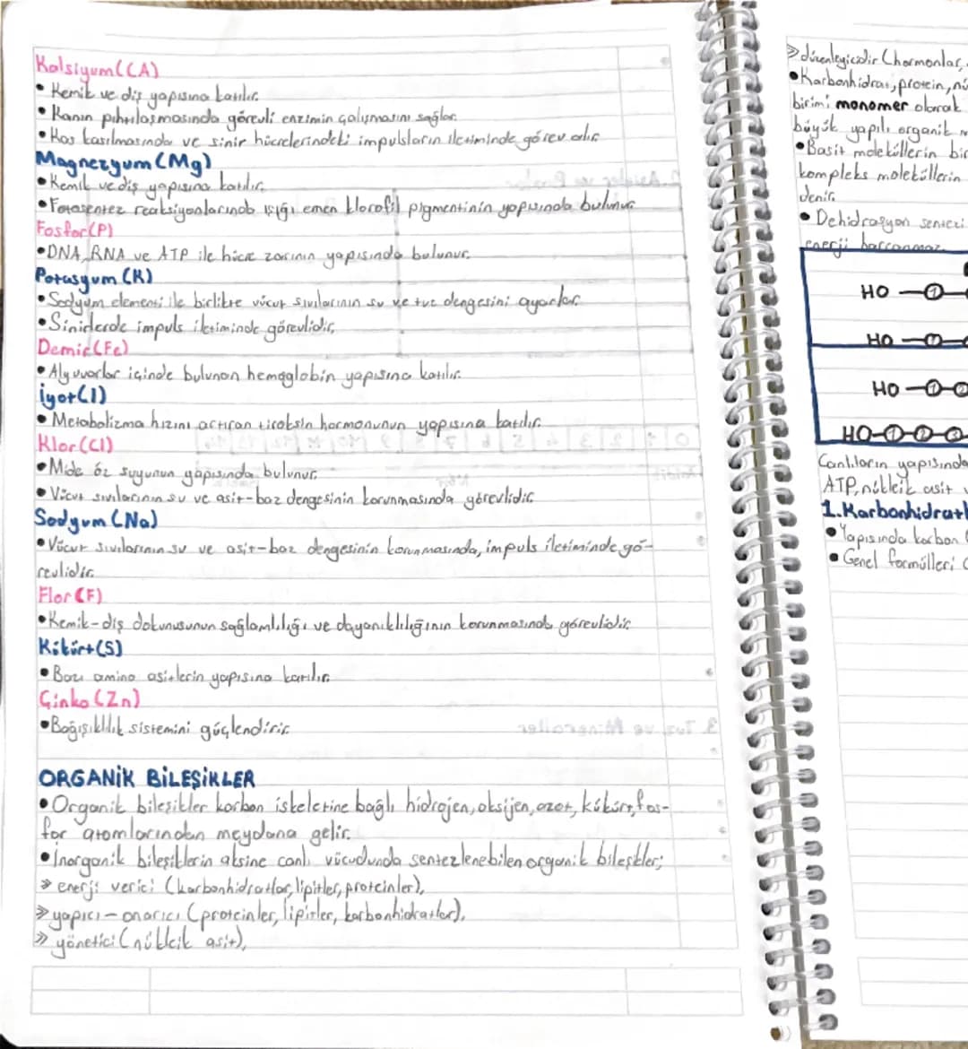 1. ÜNİTE: YAŞAM BİLİMİ BİYOLOJİ
1. BÖLÜM: Biyoloji ve Canlıların Ortak Özellikler
Beslenme, biyoloji, boşaltım, büyüme, canlılık, gelişme, h