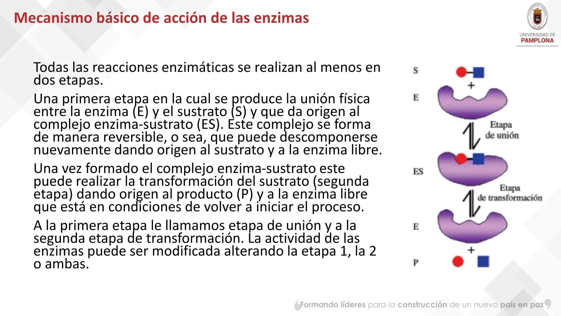 # Bioquímica Clínicaon

ENZIMOLOGÍA. Propiedades y nomenclatura, clases
de enzimas, principios generales de cinética, química
y enzimática, 
