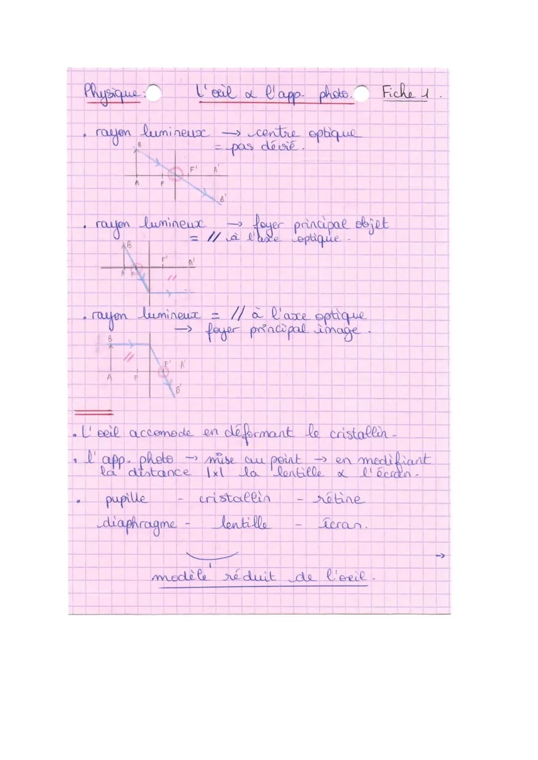 Physique

l'eil a l'app photo. Fiche 1

- rayon lumineux
→ centre optique
= pas dévié

- rayon lumineux
→ foyer principal objet
= // à l'axe