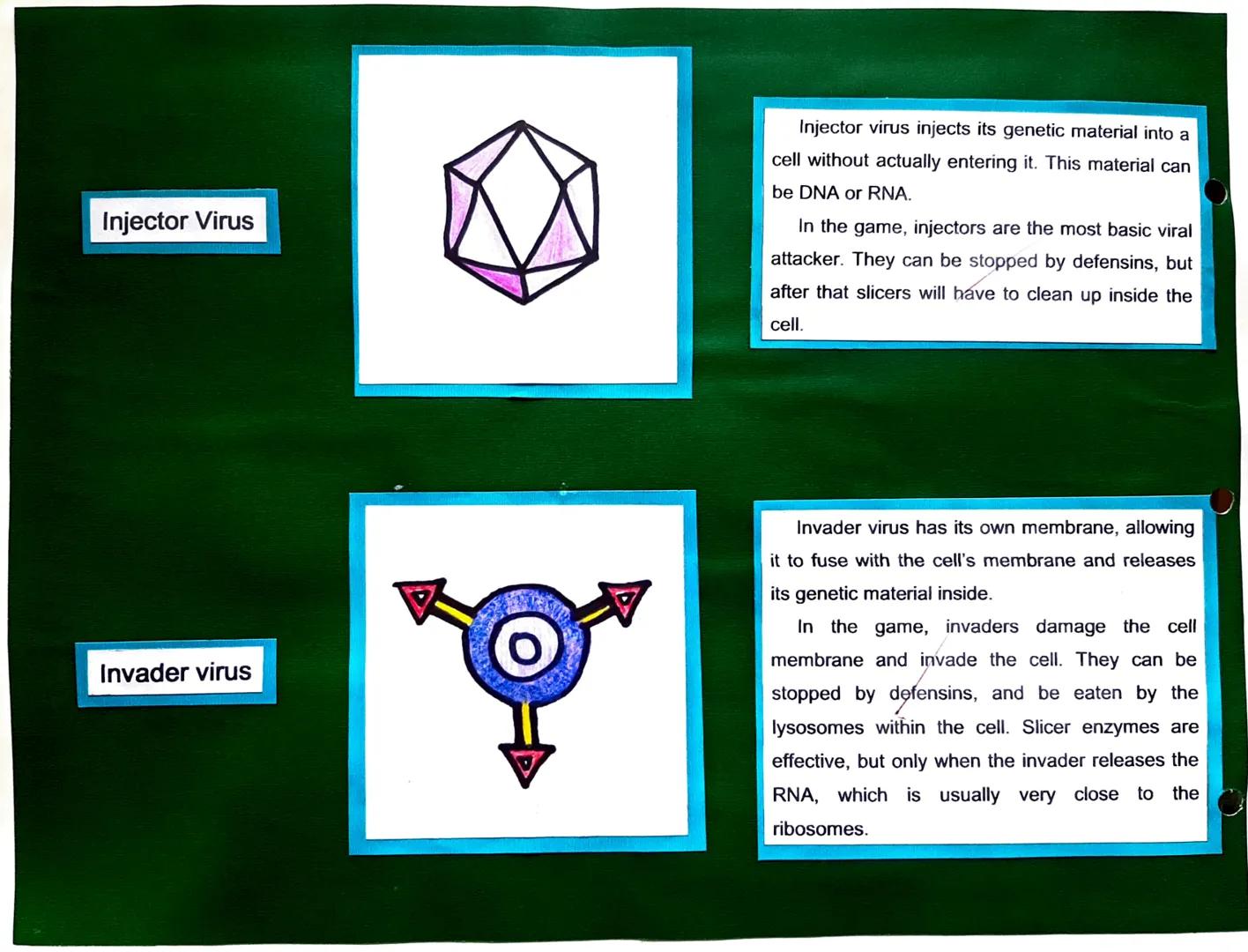 Centrosome

Plasma Membrane

Cell Parts, Illustrations, and Its Function

Plasma Membrane

The centrosome organizes the cytoskeleton,
an inv