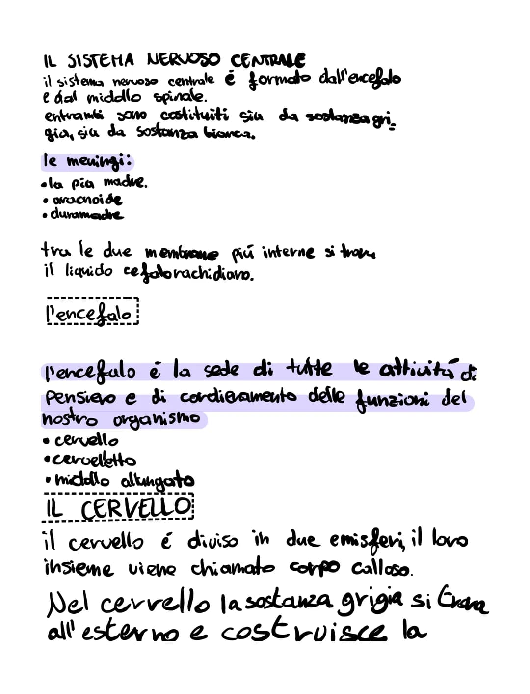 # il sistema nervoso

il sistema nervoso:
*   riceve, attraverso i recettori
*   elabora
*   invia

K
SISTEMA NERVOSO
è formato
۷
centrale t
