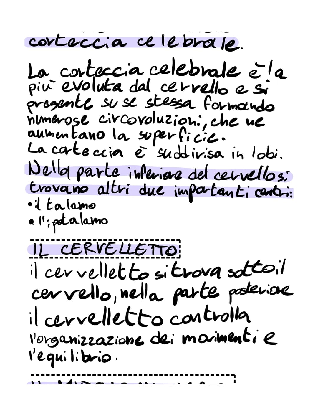# il sistema nervoso

il sistema nervoso:
*   riceve, attraverso i recettori
*   elabora
*   invia

K
SISTEMA NERVOSO
è formato
۷
centrale t