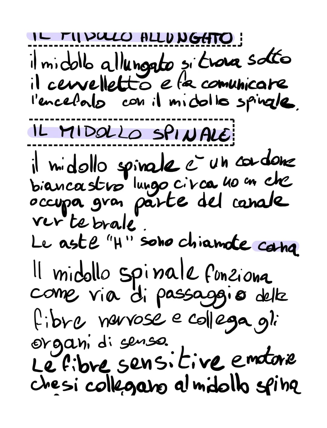 # il sistema nervoso

il sistema nervoso:
*   riceve, attraverso i recettori
*   elabora
*   invia

K
SISTEMA NERVOSO
è formato
۷
centrale t