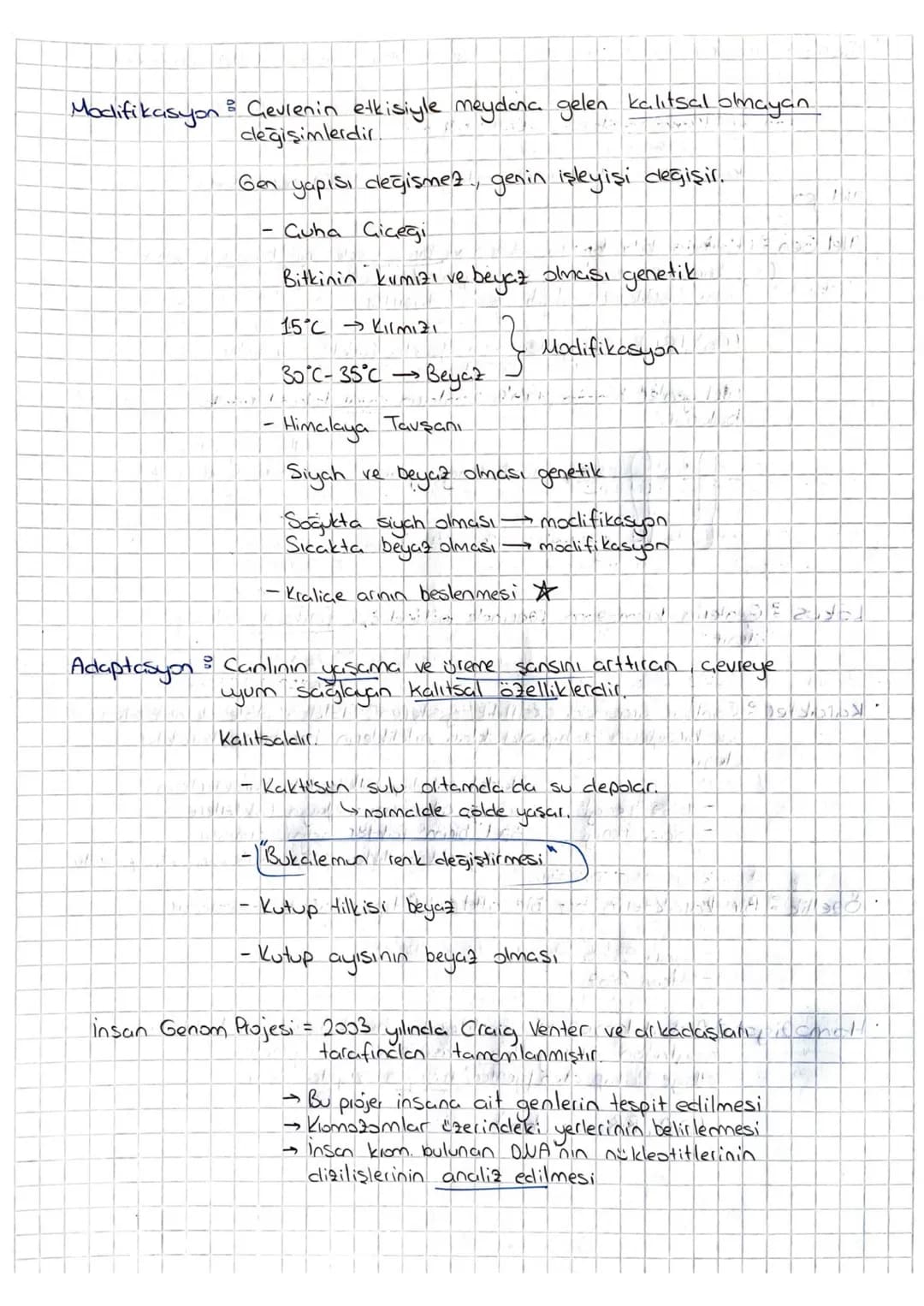 # Kalıtım

Genlerin kromozomlar üzerinde yer aklığını gösteren = Kalıtımın Kronozom
Teorisi
Canlı soylan dasındaki benzerlik ve farklılıklar