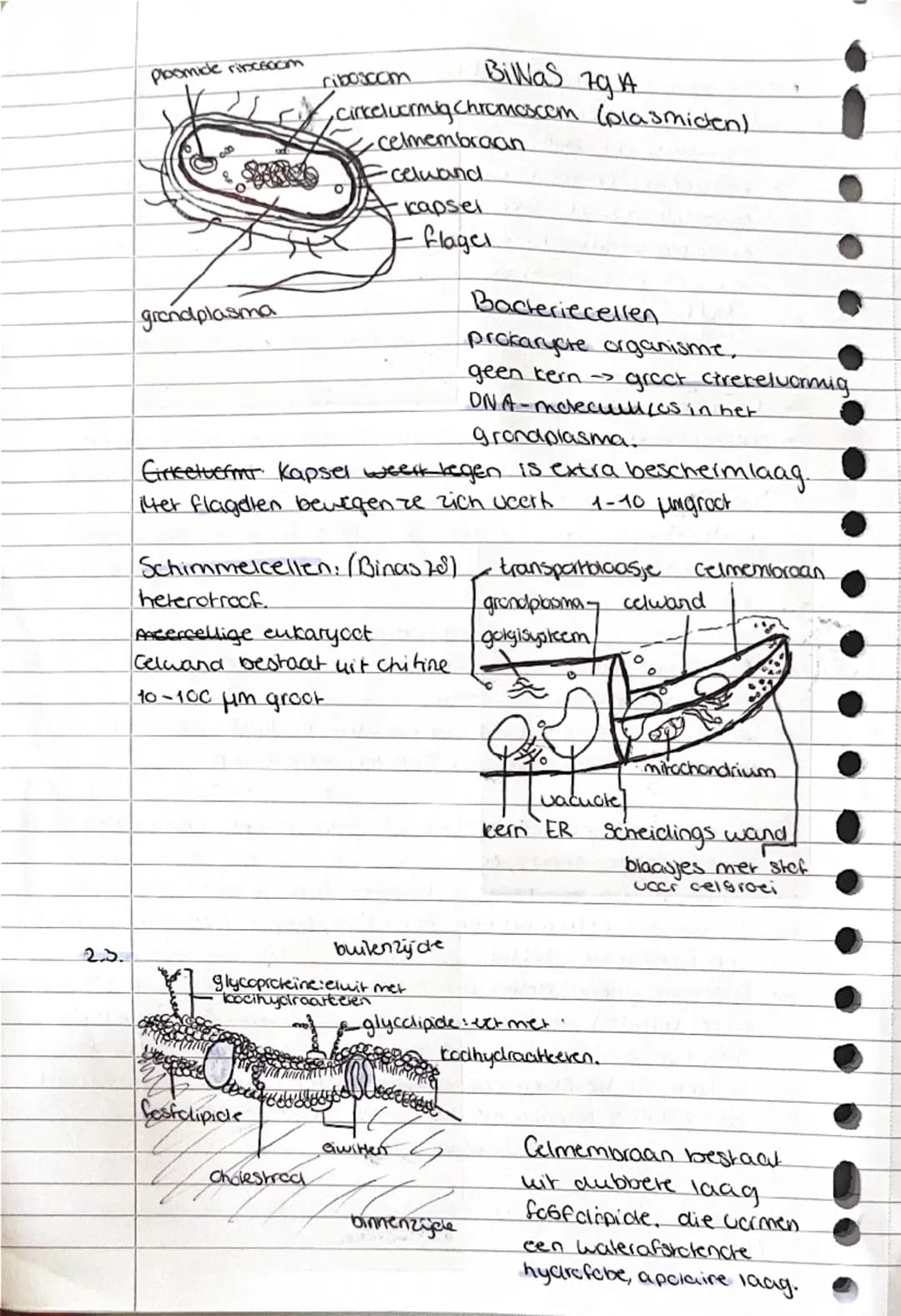 # 2. Cel en Leven
hoofdstuk 2 biologie vwo 4

## 2.1 Moleculen -> Kleinste deeltjes van een stof met nog nieuwe eigenschappen

om glucose op