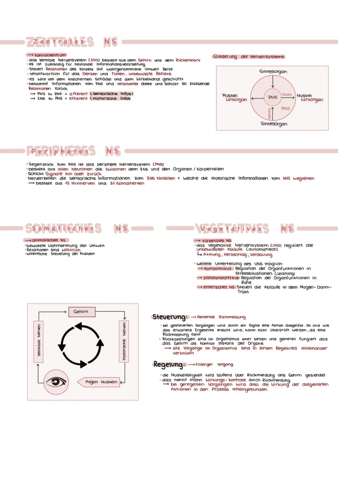 ABITURZUSAMMENFASSUNG

2023

Biologie LK

Neurobiologie # Neurologie

altgriechisch. neuron = Nerv und logie = Lehre
>Neurologie ist die Wis