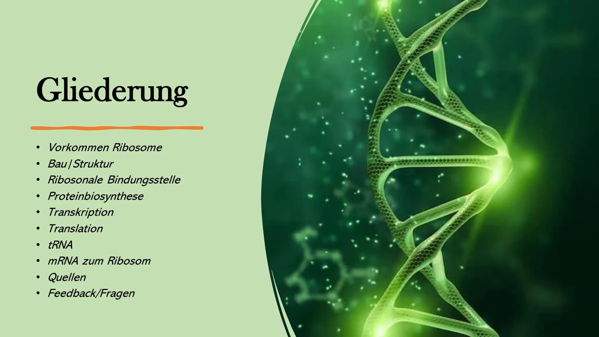 # Ribosome # Gliederung

*   Vorkommen Ribosome
*   Bau | Struktur
*   Ribosonale Bindungsstelle
*   Proteinbiosynthese
*   Transkription
* 