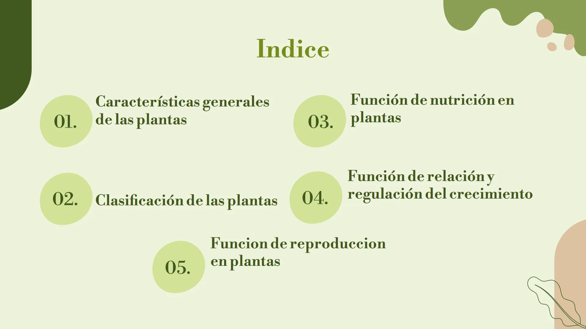 # Trabajo sobre
plantas

Raluca Mihaela Cuibaru Indice

Características generales
01. de las plantas

Función de nutrición en
03. plantas

F