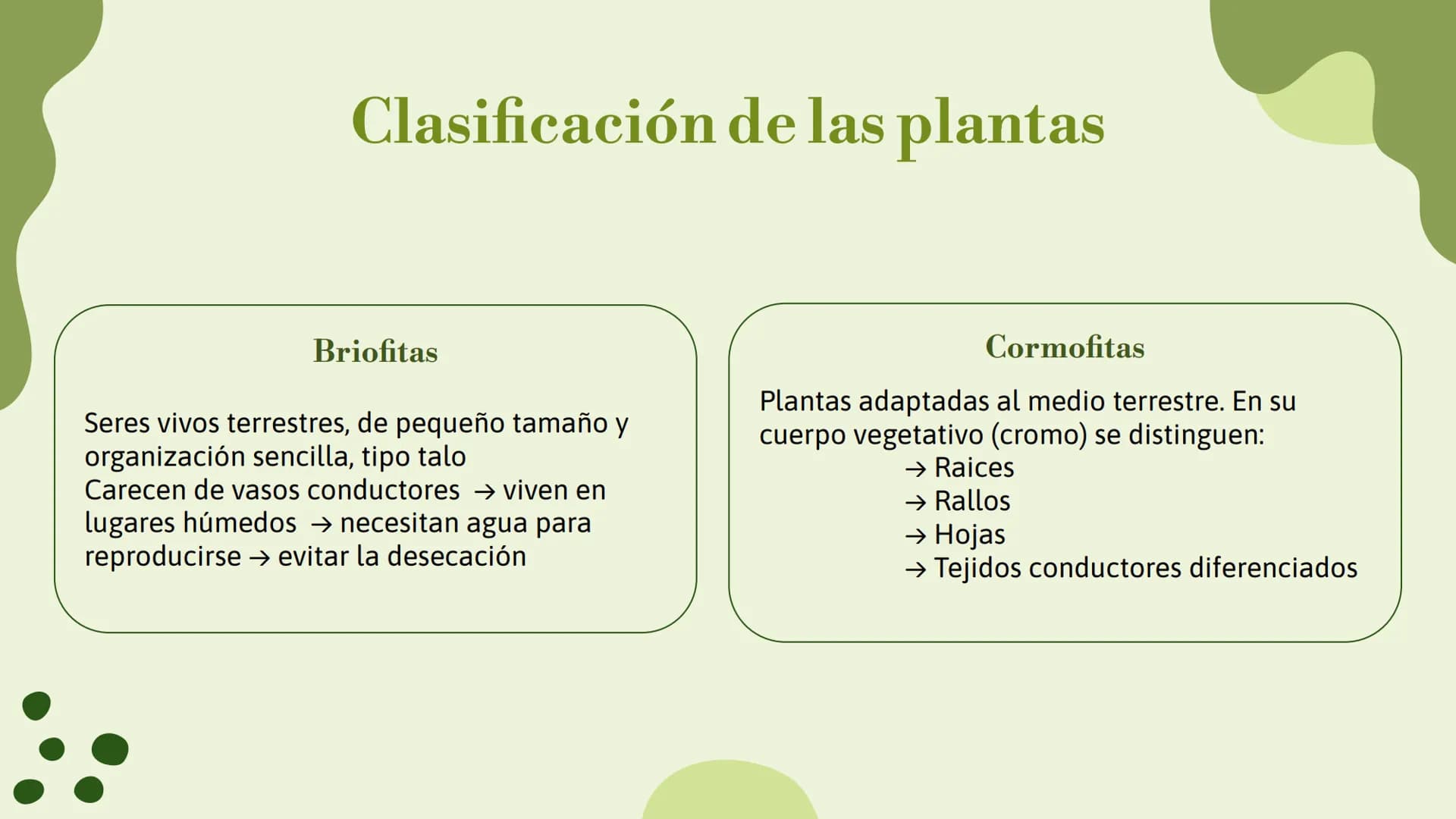 # Trabajo sobre
plantas

Raluca Mihaela Cuibaru Indice

Características generales
01. de las plantas

Función de nutrición en
03. plantas

F