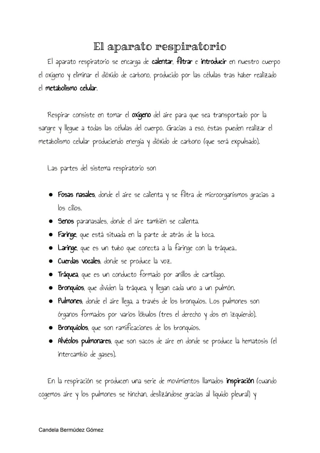 # El aparato respiratorio

El aparato respiratorio se encarga de calentar, filtrar e introducir en nuestro cuerpo
el oxígeno y eliminar el d