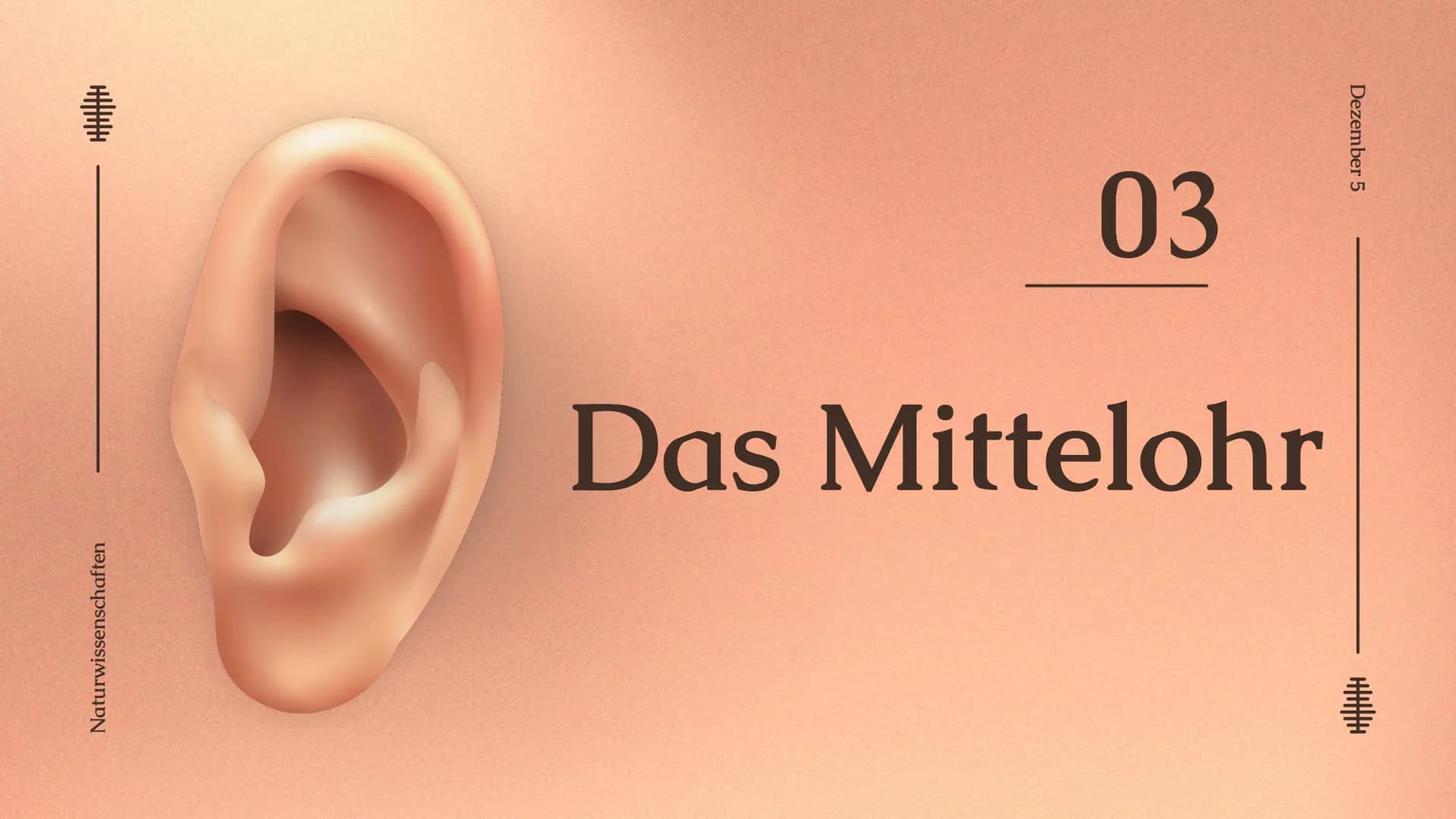 # Das Ohr

von: Madita Harting und Sarina Rohani

Das Ohr

November 22 Inhaltsverzeichnis

1. Das Ohr Aufbau
2. Das Außenohr
3. Das Innenohr