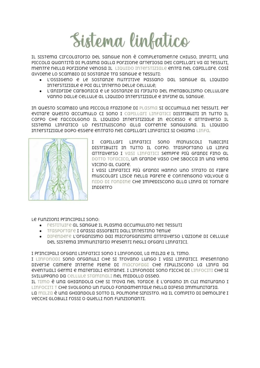 # Sistema linfatico

IL SISTEMA circolatorio DEL SANngue non è COMPLETAMENTE CHIUSO, INFATTI, una
PICCOLA QUANTITÀ DI PLASma DALLA Porzione 