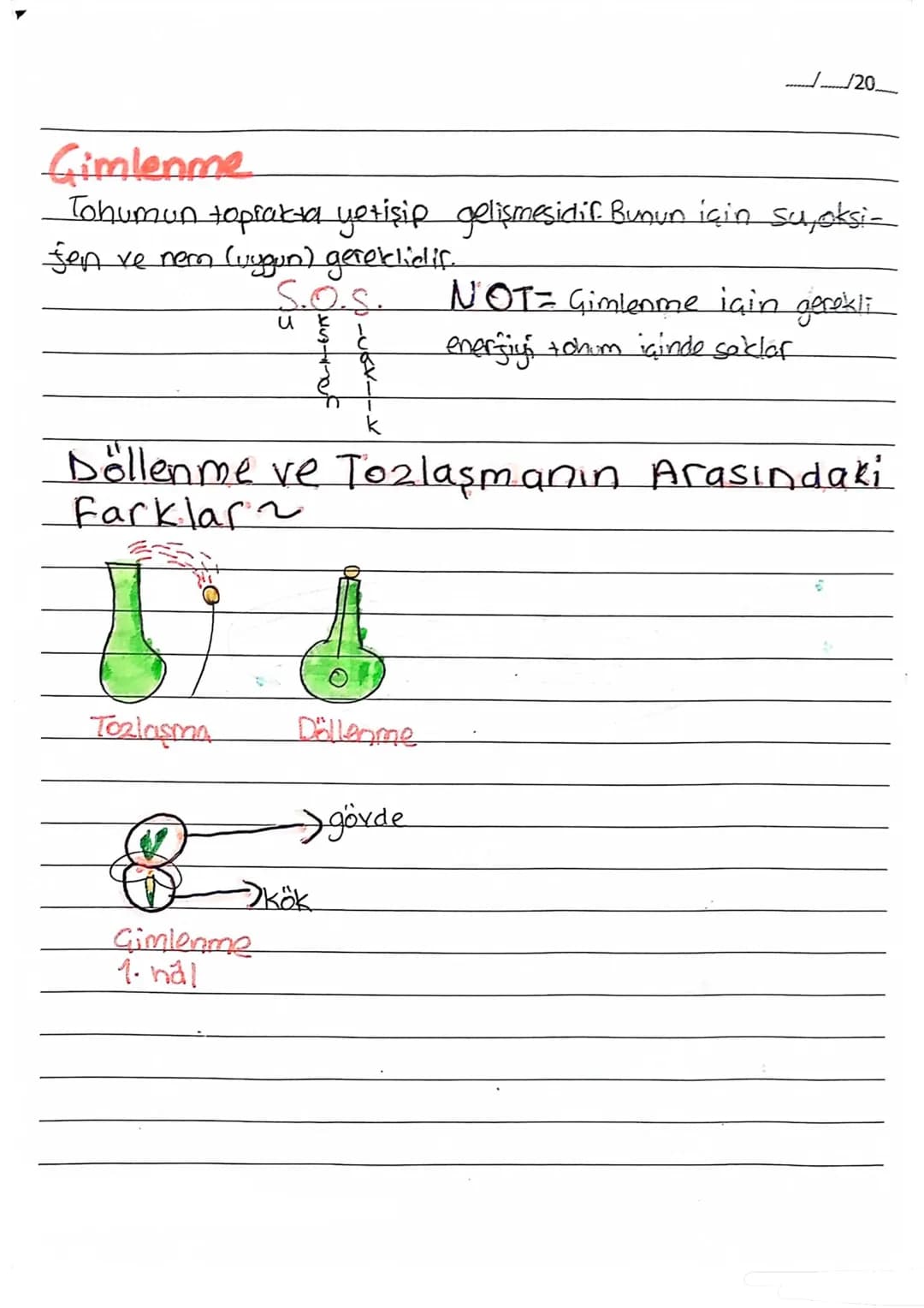 fen B.
......./......./20........
BİTKİLERDE ÜREME

Tepecik
Polenter
girer.
Arıların gelmesi için
Giçeğe hoş renk, koku veril.
Taç Yaprak
Di