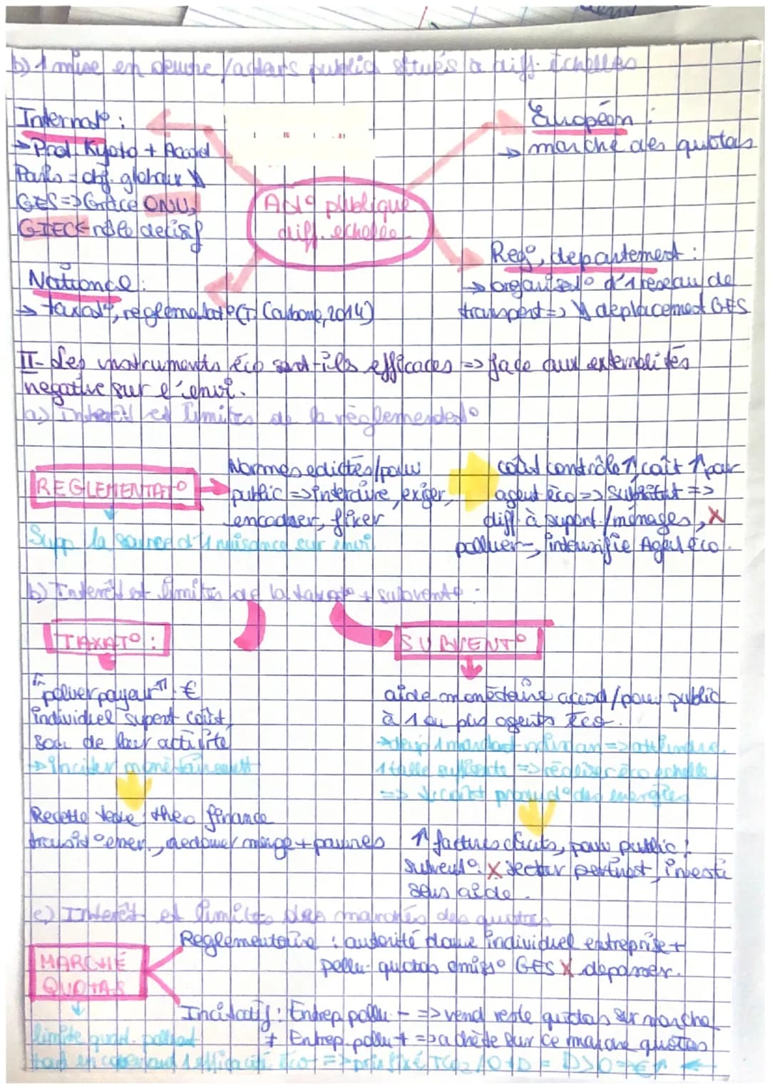 # Chap 12: Quelle act publique
pour l'environnement

I- des multiples acteurs de l'act publique pour l'enus.

1 mise à l'agenda /rebol de co
