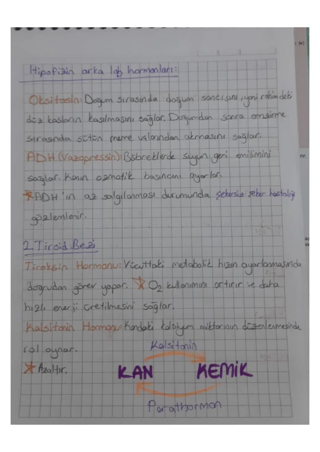 SE
ha
PC
Hipofizin ön lob hormonları:
ru
Pani
algi
SE
S
Büyüme Hormonu (STH): Özellikle kemiklerde büyümeyi
ve metabolik işlevleri uyarır. B