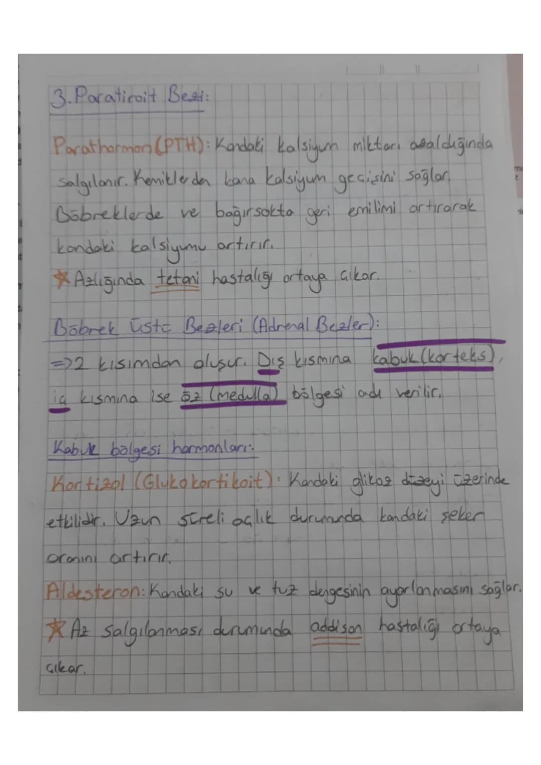 SE
ha
PC
Hipofizin ön lob hormonları:
ru
Pani
algi
SE
S
Büyüme Hormonu (STH): Özellikle kemiklerde büyümeyi
ve metabolik işlevleri uyarır. B