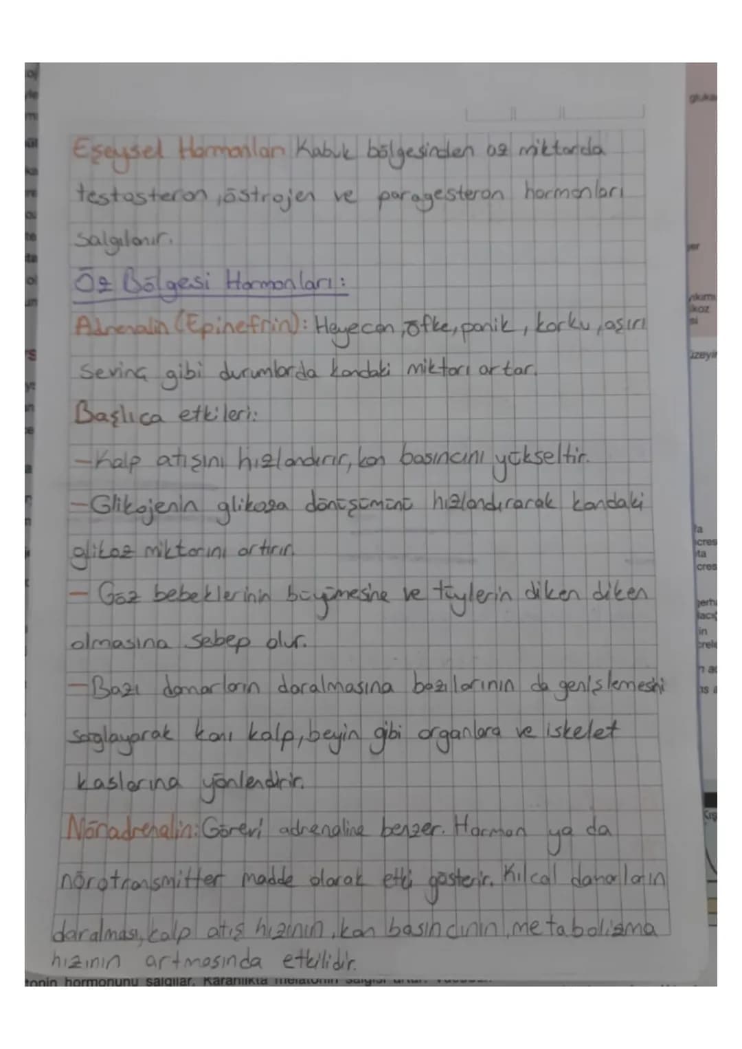 SE
ha
PC
Hipofizin ön lob hormonları:
ru
Pani
algi
SE
S
Büyüme Hormonu (STH): Özellikle kemiklerde büyümeyi
ve metabolik işlevleri uyarır. B