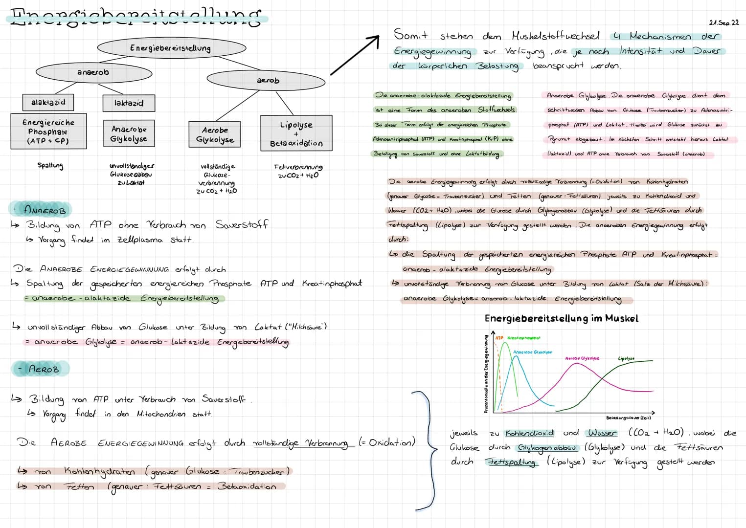 # Inongichonnitatellung

Energiebereitstellung

|          |          |          |
|----------|----------|----------|
| alaktazid | laktazid