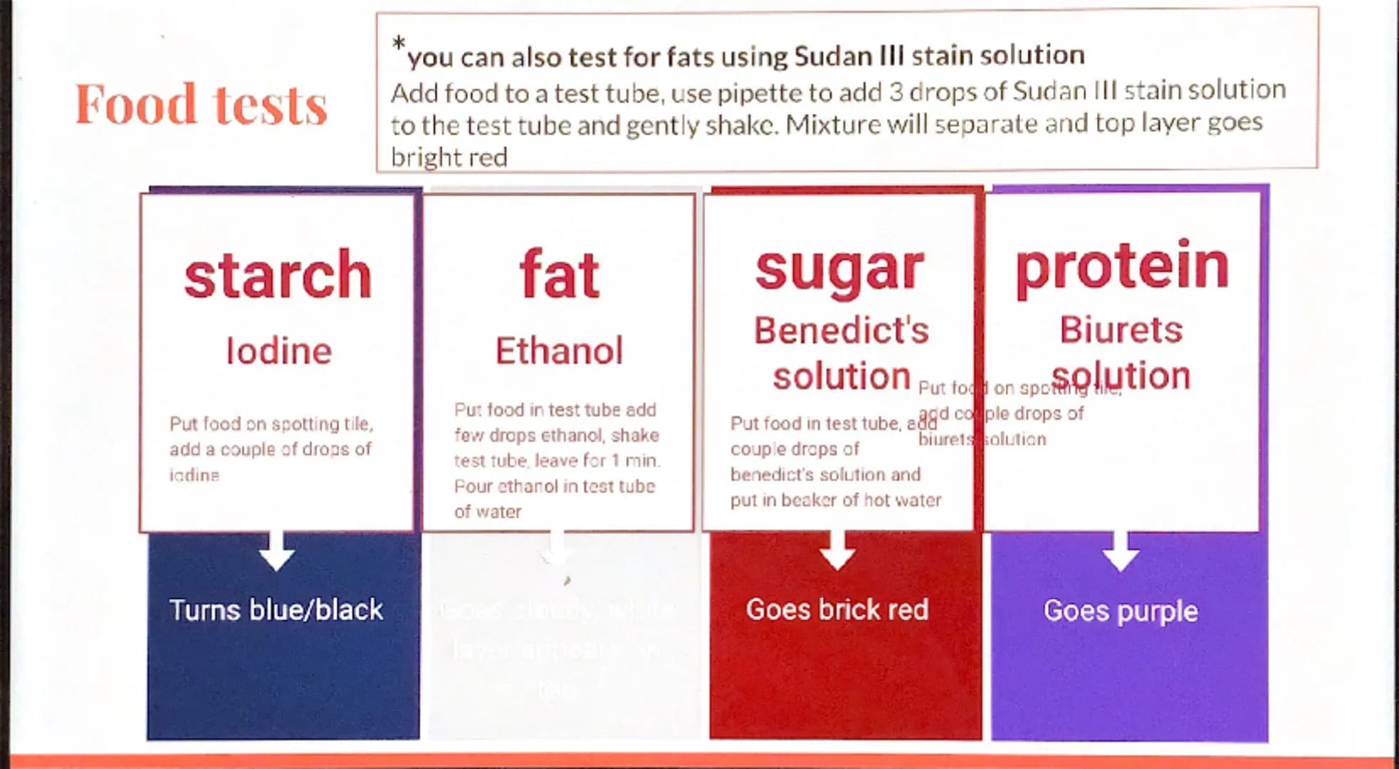 Biology
Revision -
Organization

GCSE Cell organisation
Eg.
Root hair cell
Palisade cell
Xylem cell
Red blood cell
White blood cell
Basic bu