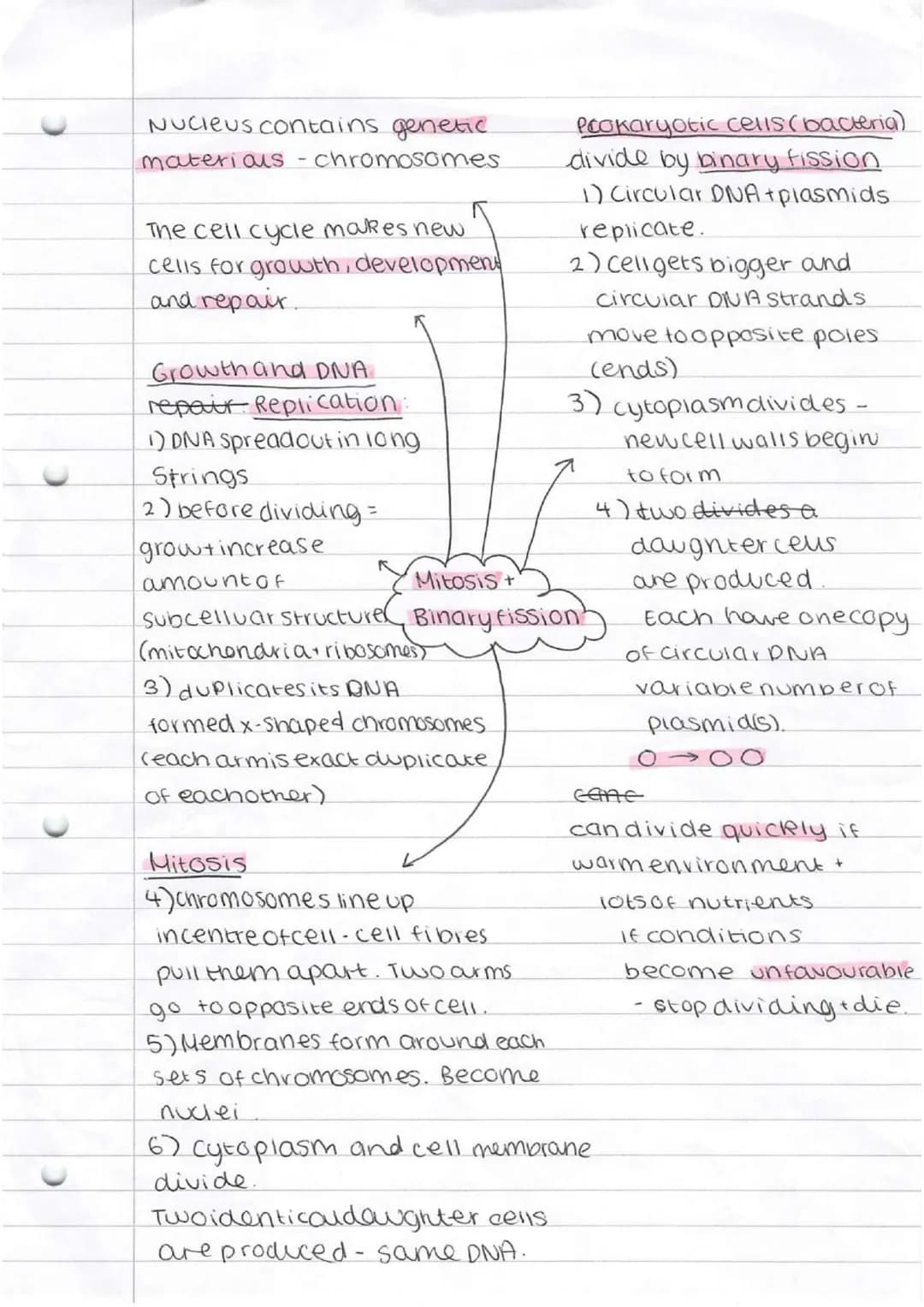 *   bacteria
    *   singlecellorganism

Prokaryotes-smaller simpler - nonucleus

Eurkayotes-complex-nasenucieus

cammal Plant

subeellu lar