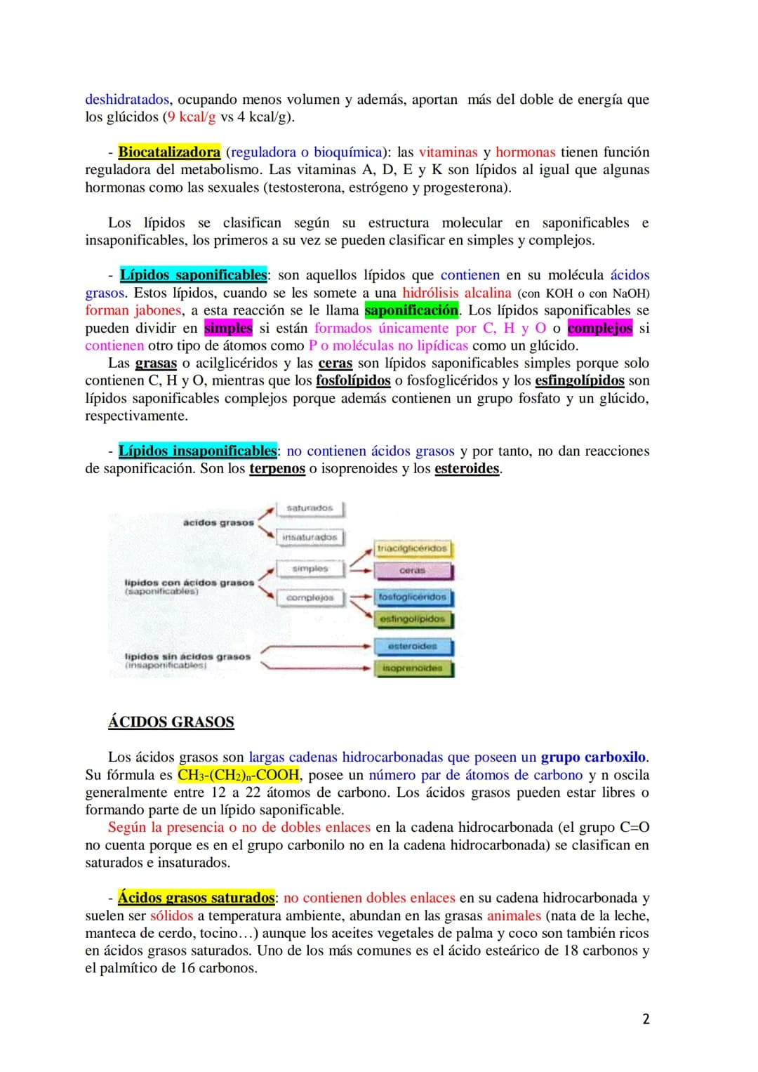 TEMA 3.- LÍPIDOS

1. Generalidades: Composición química, funciones generales (energética, estructural
y biocatalizadora).y clasificación: lí